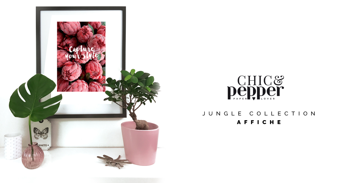 SLIDE affiche A3 chic and pepper