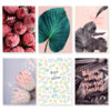 cartes postale chic and pepper